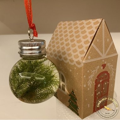 Christmas Hanging Moss Bauble- Kraft Gifting box