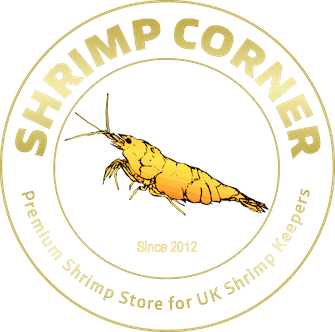 Shrimp Corner